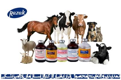 تمدید پروانه تولید ۵ محصول تزریقی رازک توسط سازمان دامپزشکی